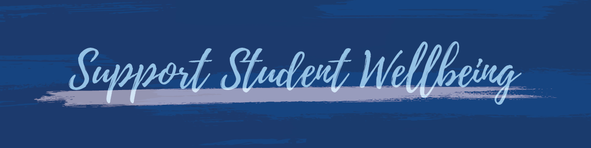 Support Student Wellbeing banner