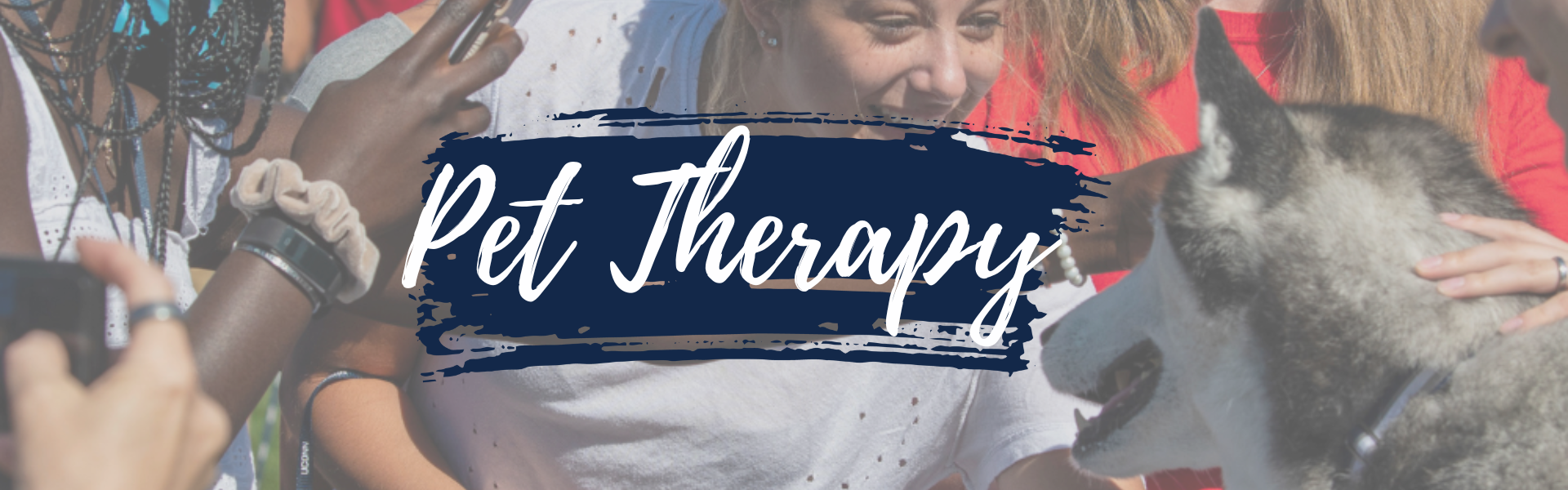 Pet Therapy Banner